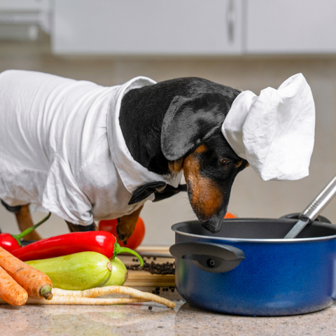 Comida que tu perro amará + Bonus Planificador