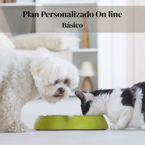 Plan personalizado de comida casera para perros y gatos – Básico