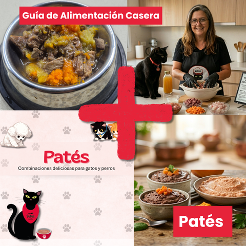 Vilma Full Gatos