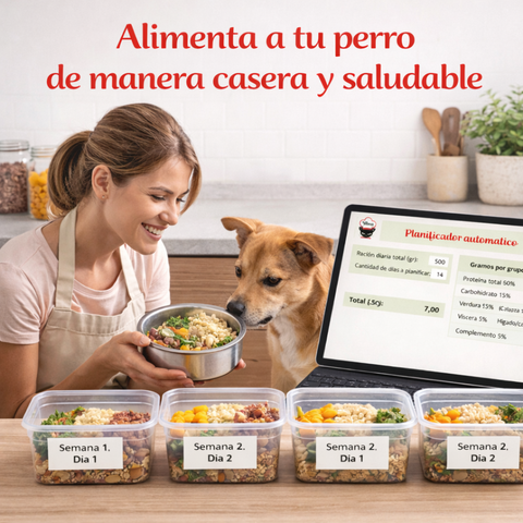 Comida que tu perro amará + Bonus Planificador - Flash