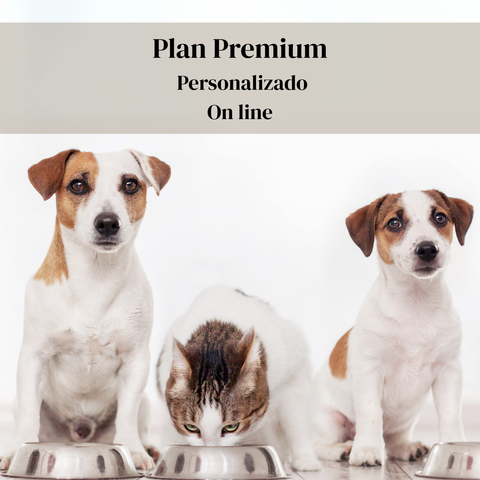 Plan Premium personalizado de comida casera para perros y gatos – 14 días