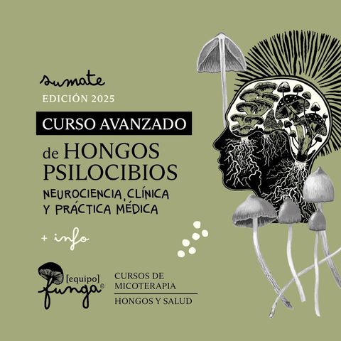 Curso Avanzado de Hongos Psilocibios 