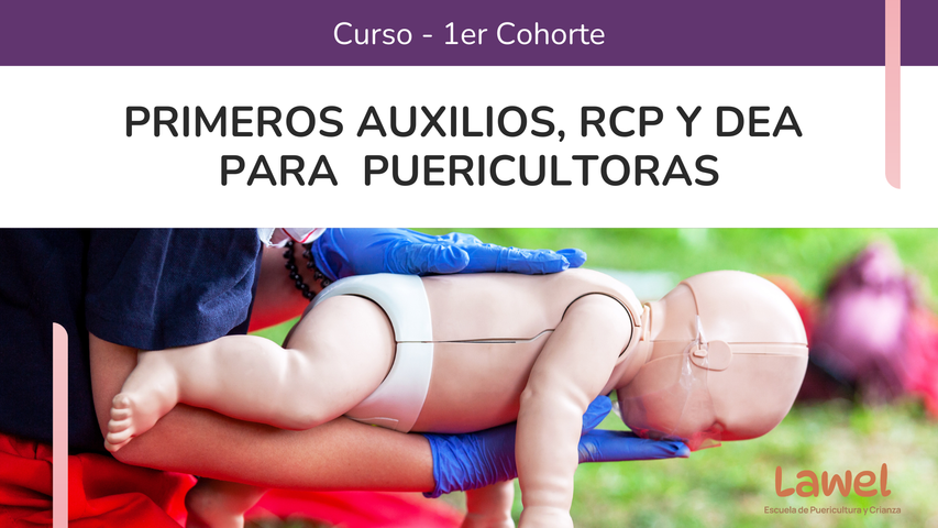 Primeros Auxilios, RCP y DEA para Puericultoras