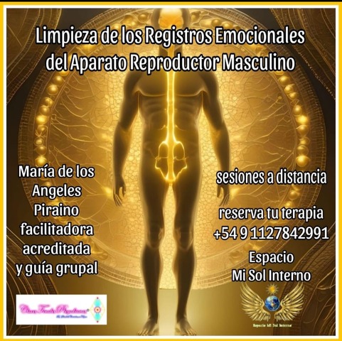 LIMPIEZA DE LOS REGISTROS EMOCIONALES DEL APARATO REPRODUCTOR MASCULINO