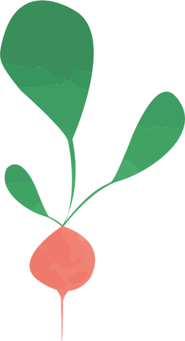Nutrición con Clara