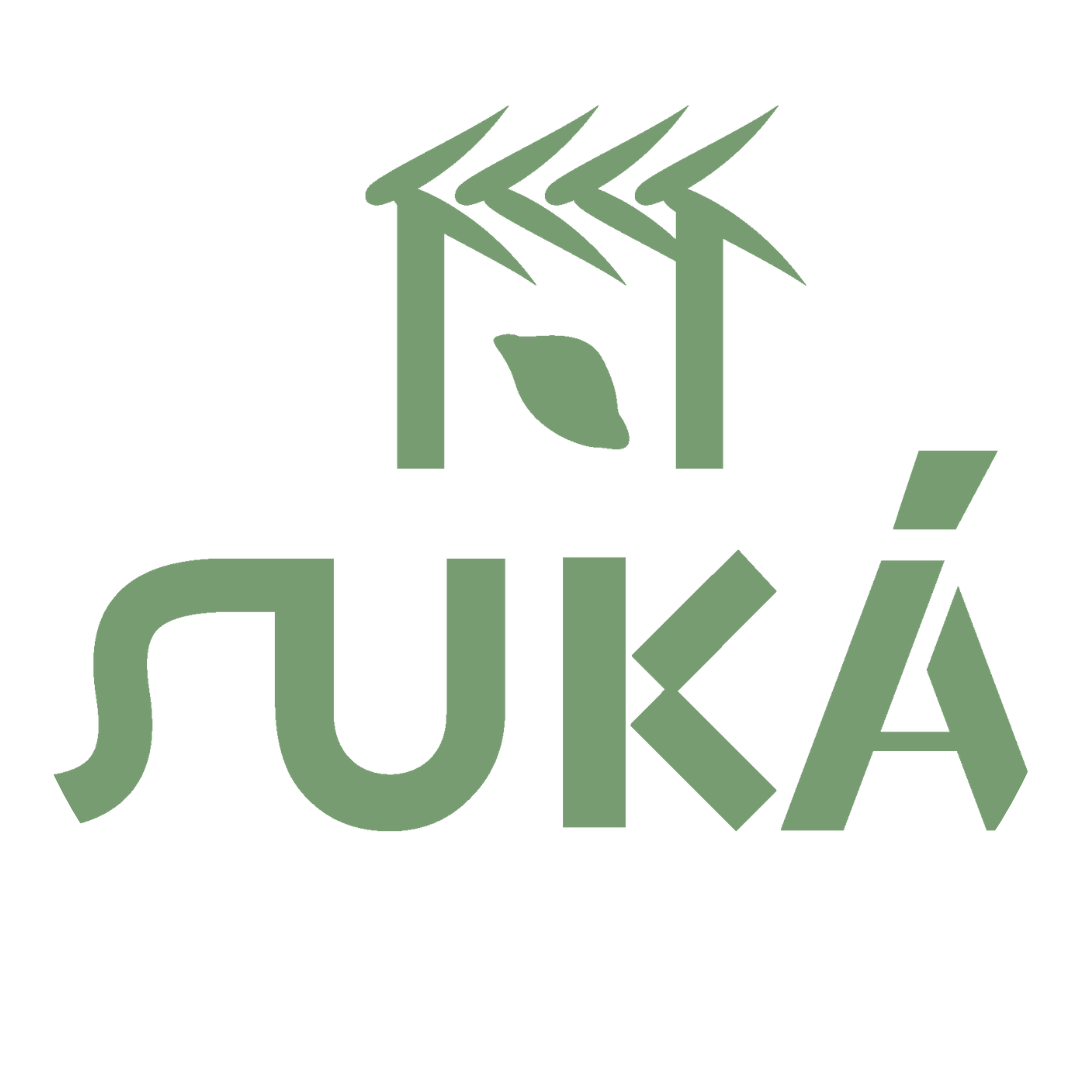 Javier Salama | CEO de SUKA