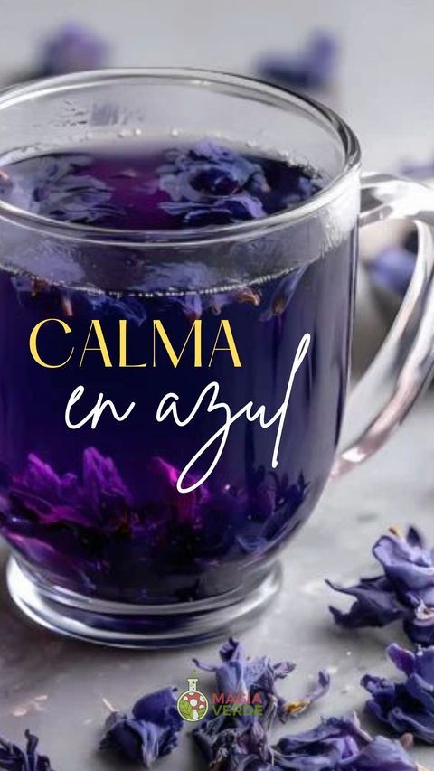 Te Azul - Flores de Clitoria Ternatea