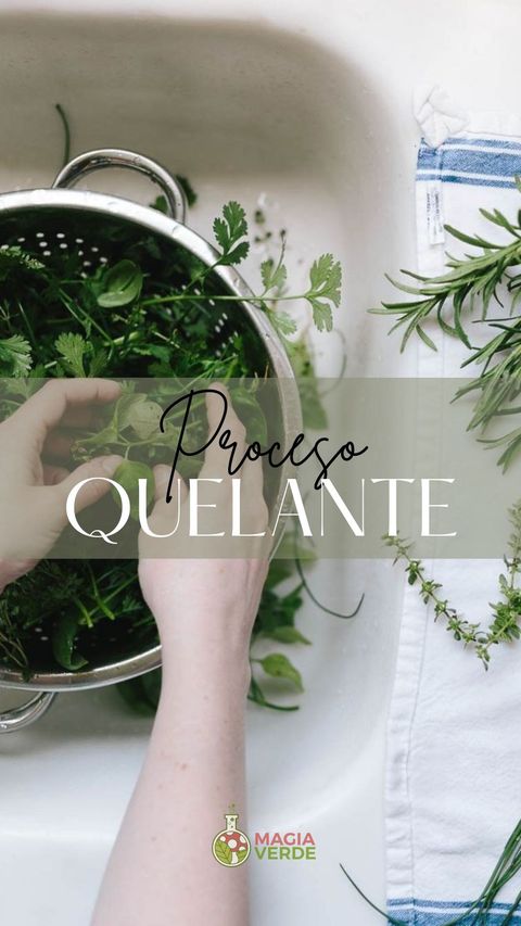 PROCESO QUELANTE SISTÉMICO ®️