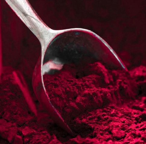 Trébol rojo - Extracto en polvo