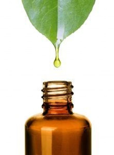 Bacopa - Tintura madre