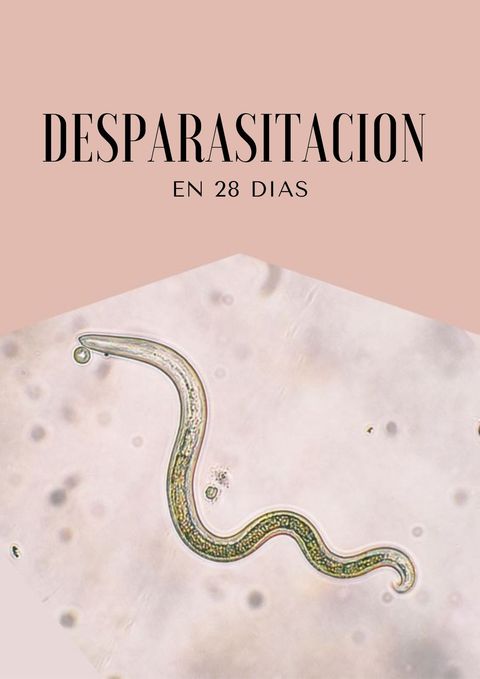 PROCESO DESPARASITACION Y DEPURACION SISTEMICO