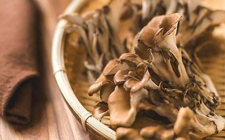 Sublingual - Maitake