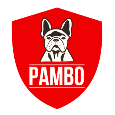 Adiestramiento Pambo