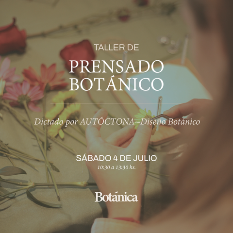 TALLER DE PRENSADO BOTANICO