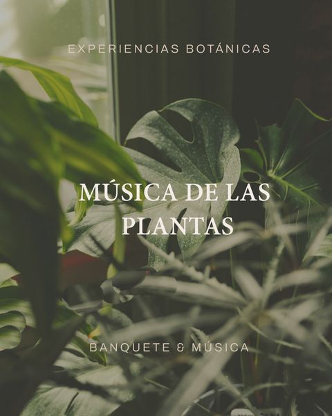 MUSICA DE LAS PLANTAS