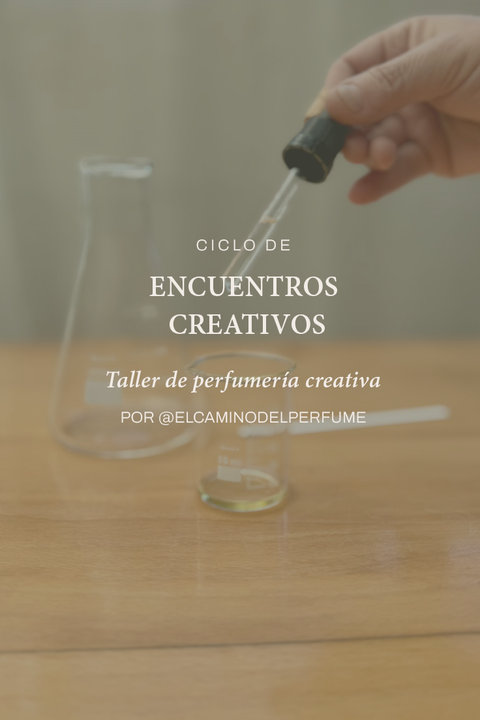 Workshop -  Perfumería creativa