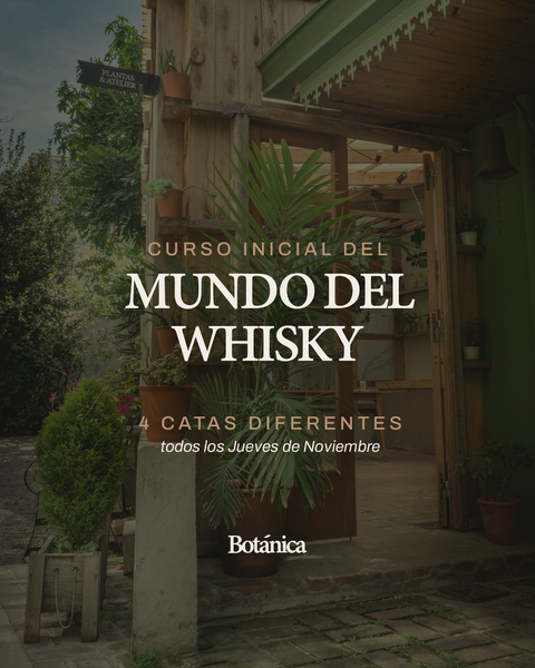 CATA DE WHISKY | N3