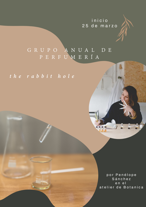 Grupo anual de perfumeria - The rabbit hole