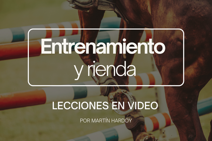 RIENDA: Lecciones en video