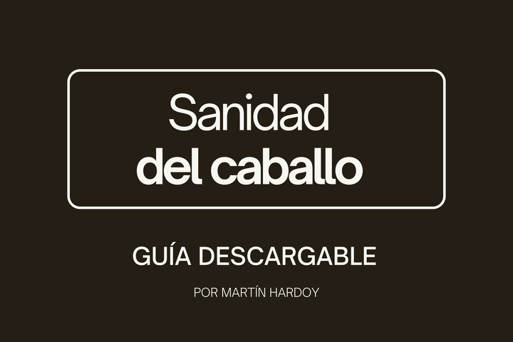 SANIDAD: Guía descargable