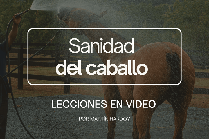 SANIDAD: Lecciones en video