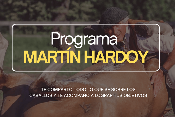Programa Martín Hardoy