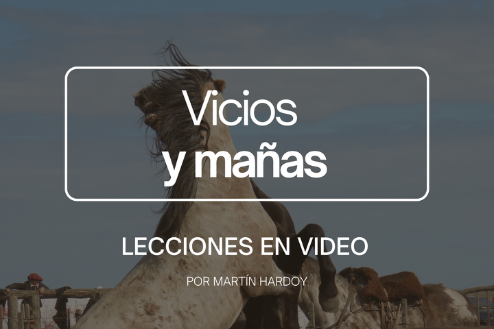 VICIOS Y MAÑAS: Lecciones en video