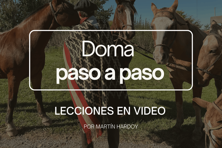 DOMA: Lecciones en video