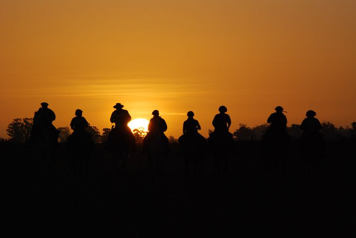 Mejoremos juntos a tus caballos