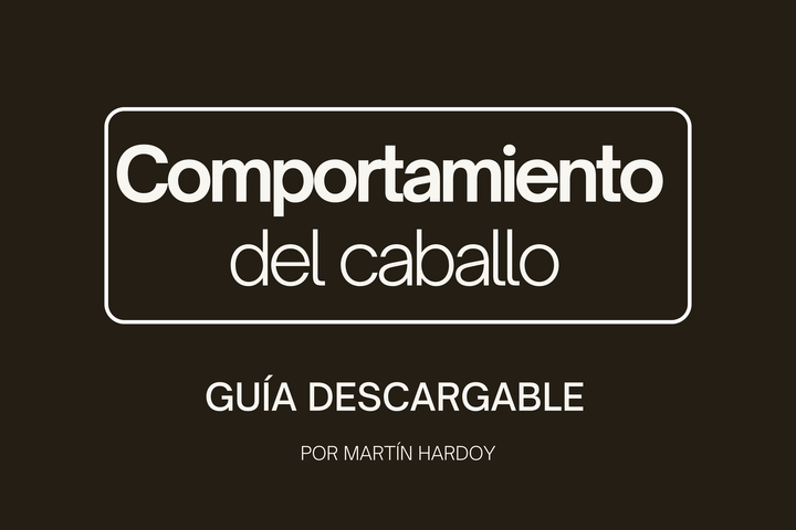 COMPORTAMIENTO: Guía descargable