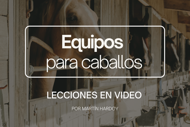 EQUIPOS: Lecciones en video