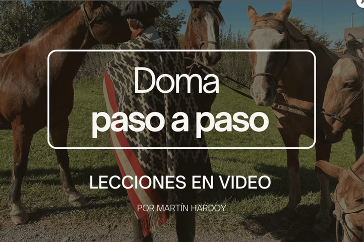 Curso completo de Doma Racional paso a paso en 87 videos y libro digital por Martín Hardoy