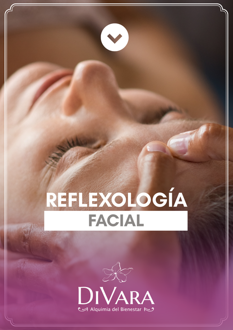 Cursos complementarios