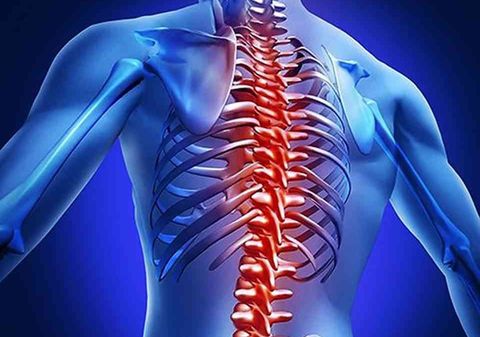 Dolor de espalda: cuando el cuerpo habla, lo que el espíritu calla