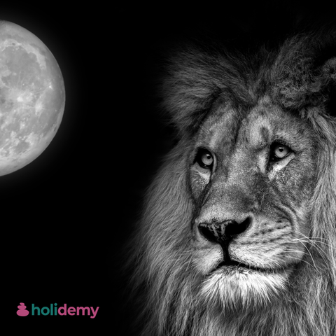 🦁 Ruge tu verdad: nace un nuevo ciclo bajo la Luna en Leo