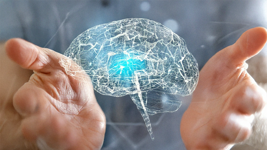 Neurociencia integradora: cuerpo, vínculo y salud emocional