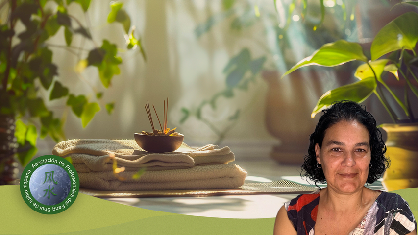 Iniciación al Feng Shui 1: Armoniza tu hogar, transforma tu vida