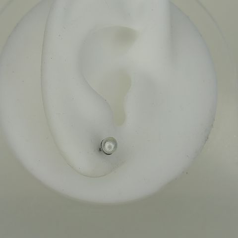 Caravana abridor con Perlita