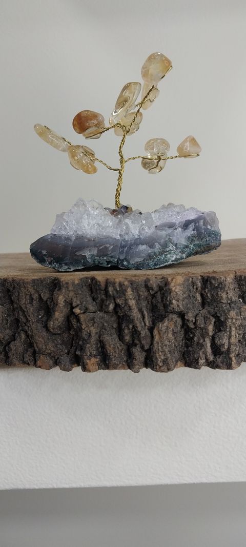 Arbolitos de la Vida