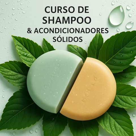 CURSO DE SHAMPOO Y ACONDICIONADORES SOLIDOS