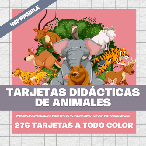 Tarjetas didácticas con más de 60 Animales