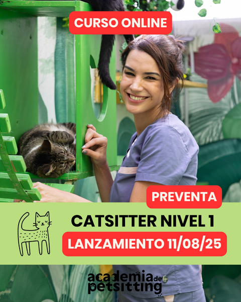 Curso Catsitter Nivel 1 