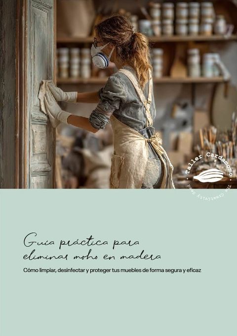 Guía práctica para eliminar el moho en tus muebles