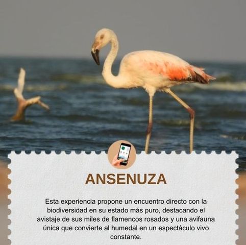 Ansenuza