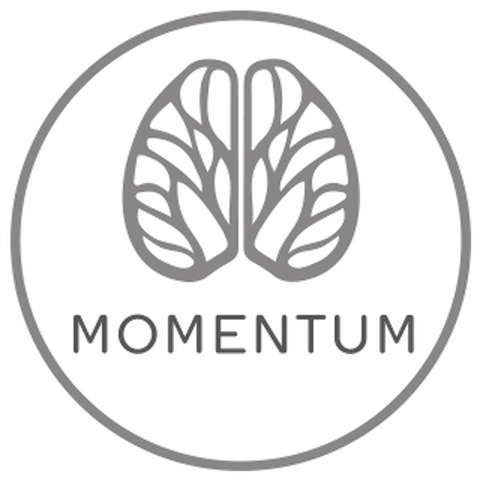 MOMENTUM PNI