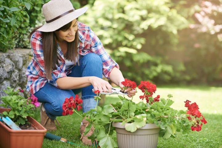 Mantene tu jardín todo el año