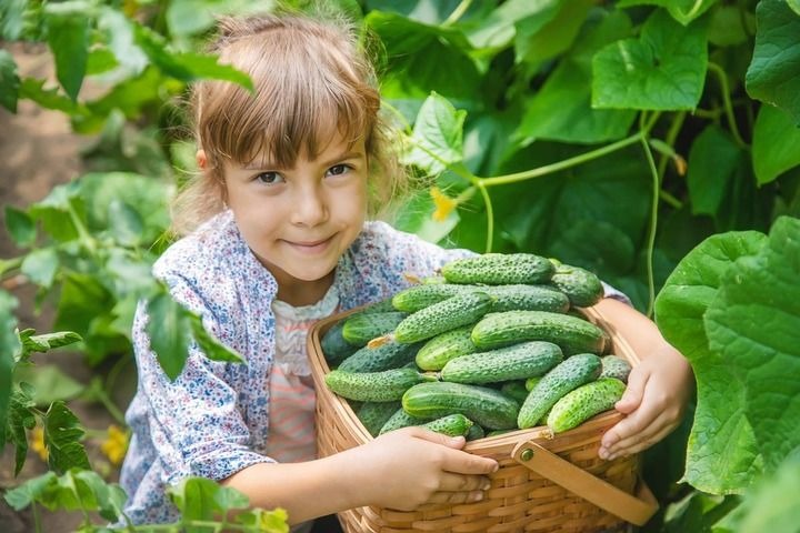 Introducción Huerta para los más peques