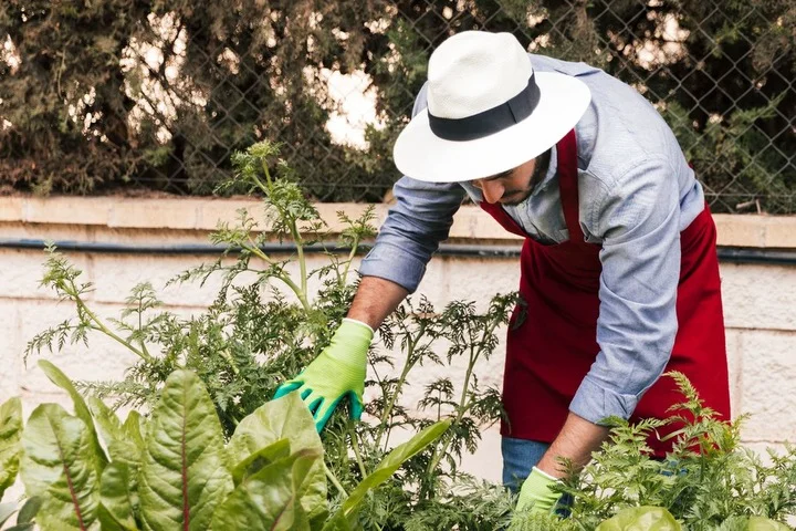 Workshop Online de Jardinería