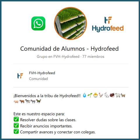 Acompañamiento personalizado + Comunidad de Whatsapp