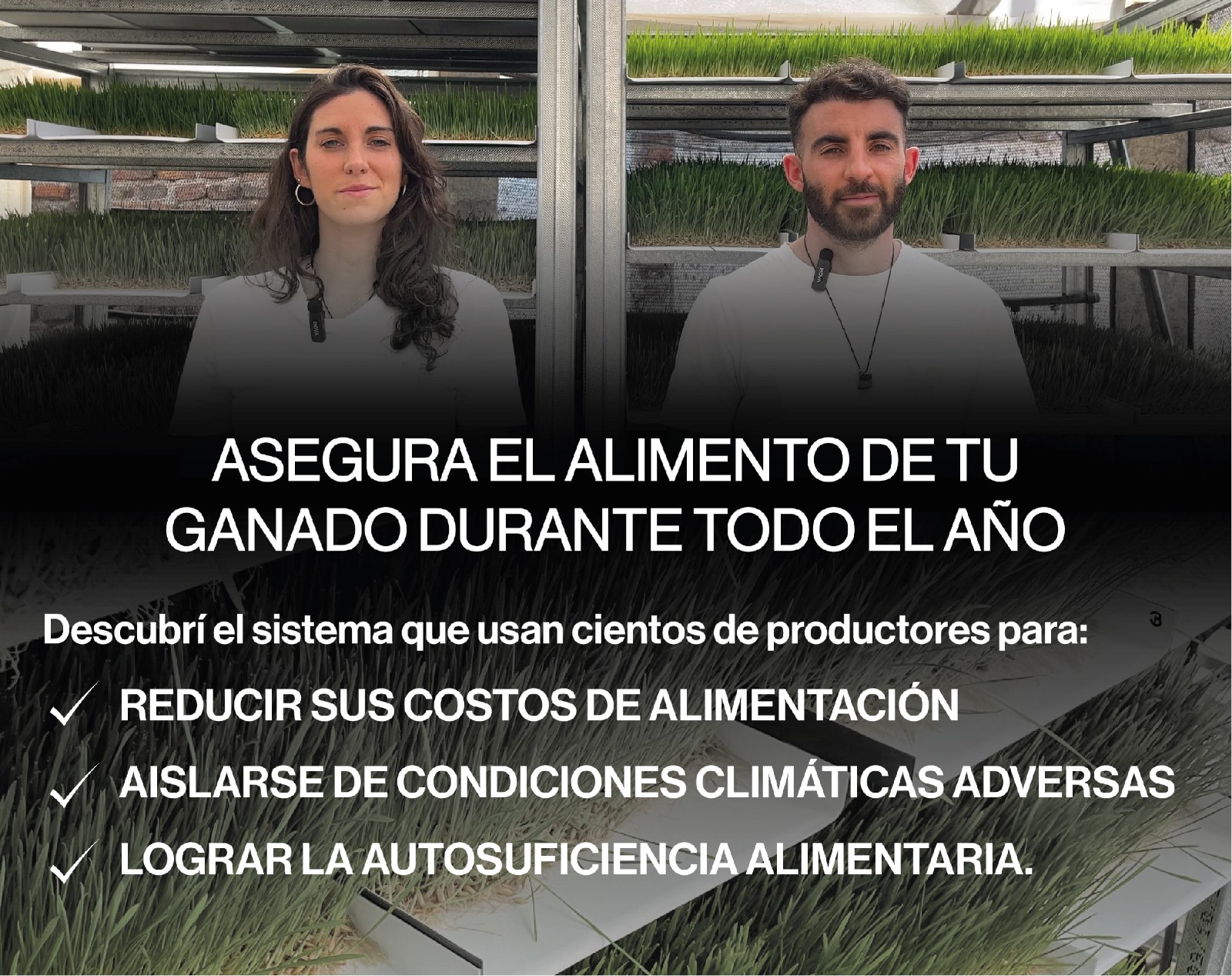 FORRAJE VERDE HIDROPÓNICO